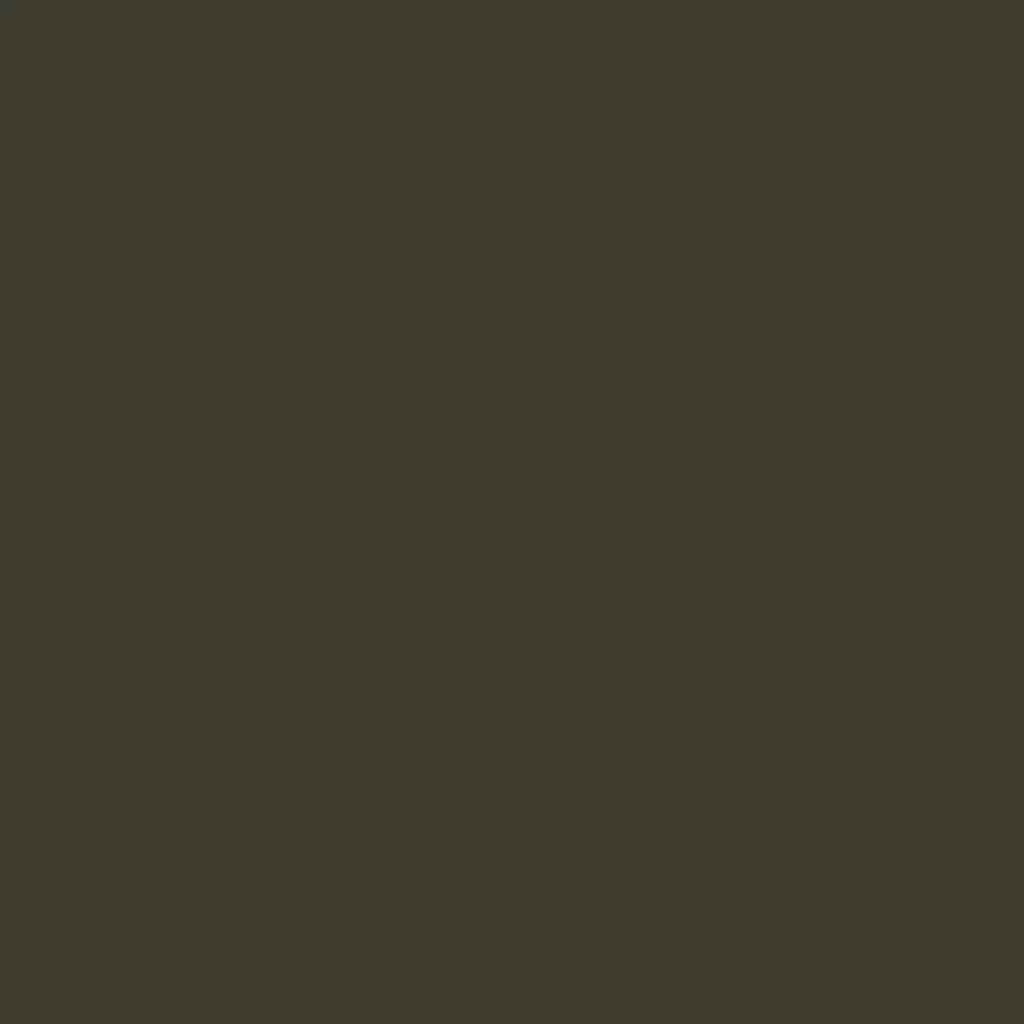 RAL 6022 Olive brun portes-dentree couleurs-des-portes couleurs-ral ral-6022-olive-brun texture