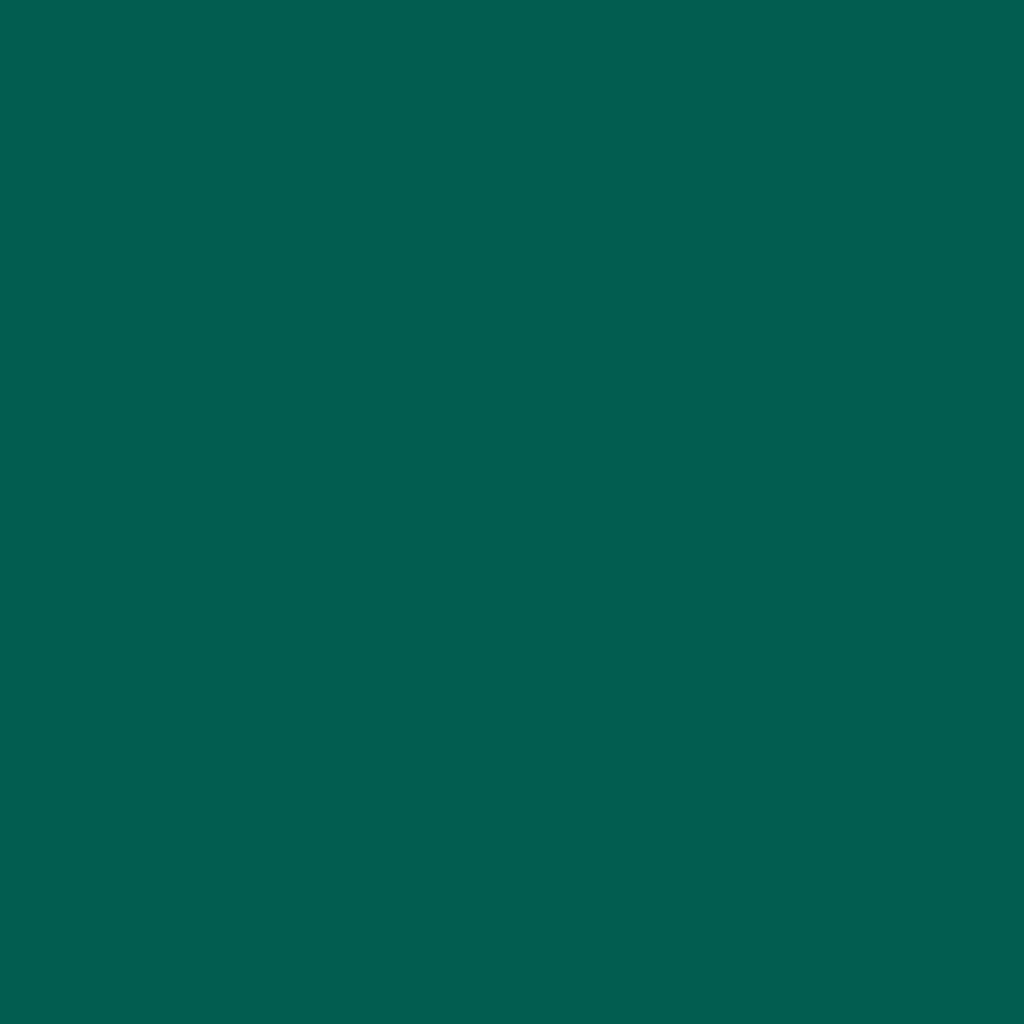 RAL 6026 Vert opale portes-dentree couleurs-des-portes couleurs-ral ral-6026-vert-opale texture