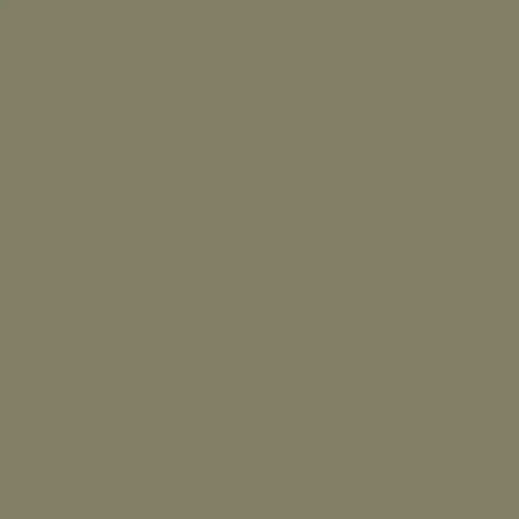 RAL 7002 Gris olive portes-dentree couleurs-des-portes couleurs-ral ral-7002-gris-olive texture