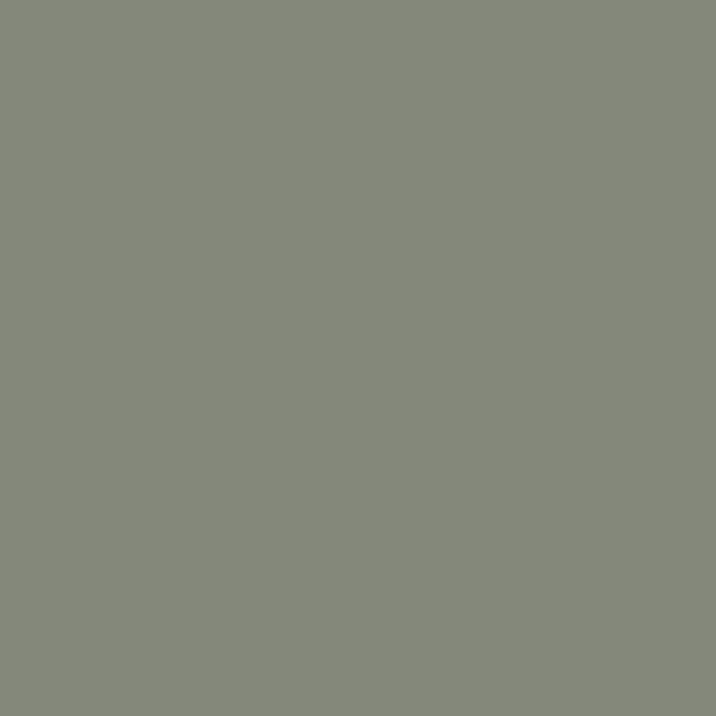 RAL 7033 Gris ciment portes-dentree couleurs-des-portes couleurs-ral ral-7033-gris-ciment texture