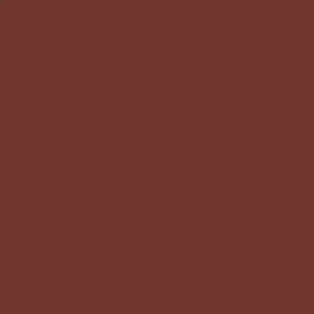 RAL 3009 Rouge oxyde portes-dentree couleurs-des-portes couleurs-ral ral-3009-rouge-oxyde texture