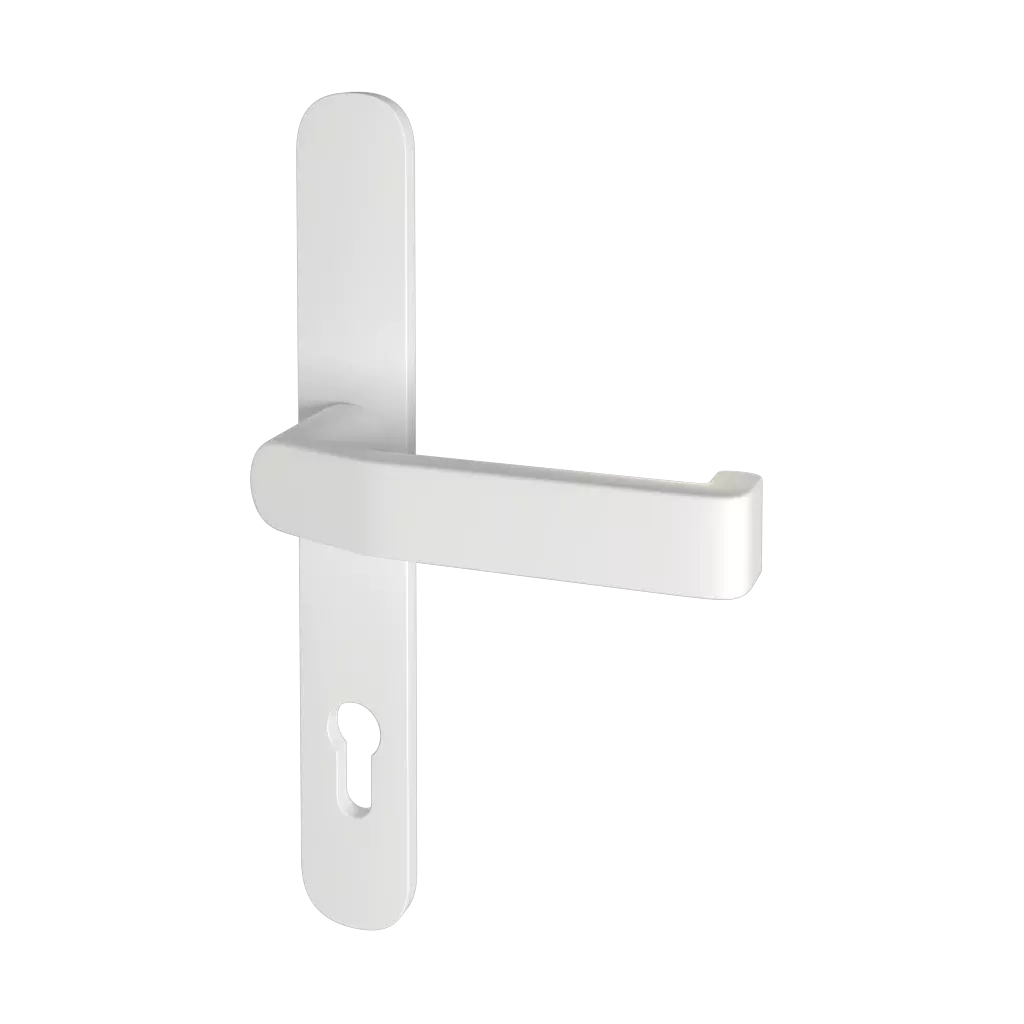 Blanc portes-dentree accessoires-de-porte poignees poignee-370900 