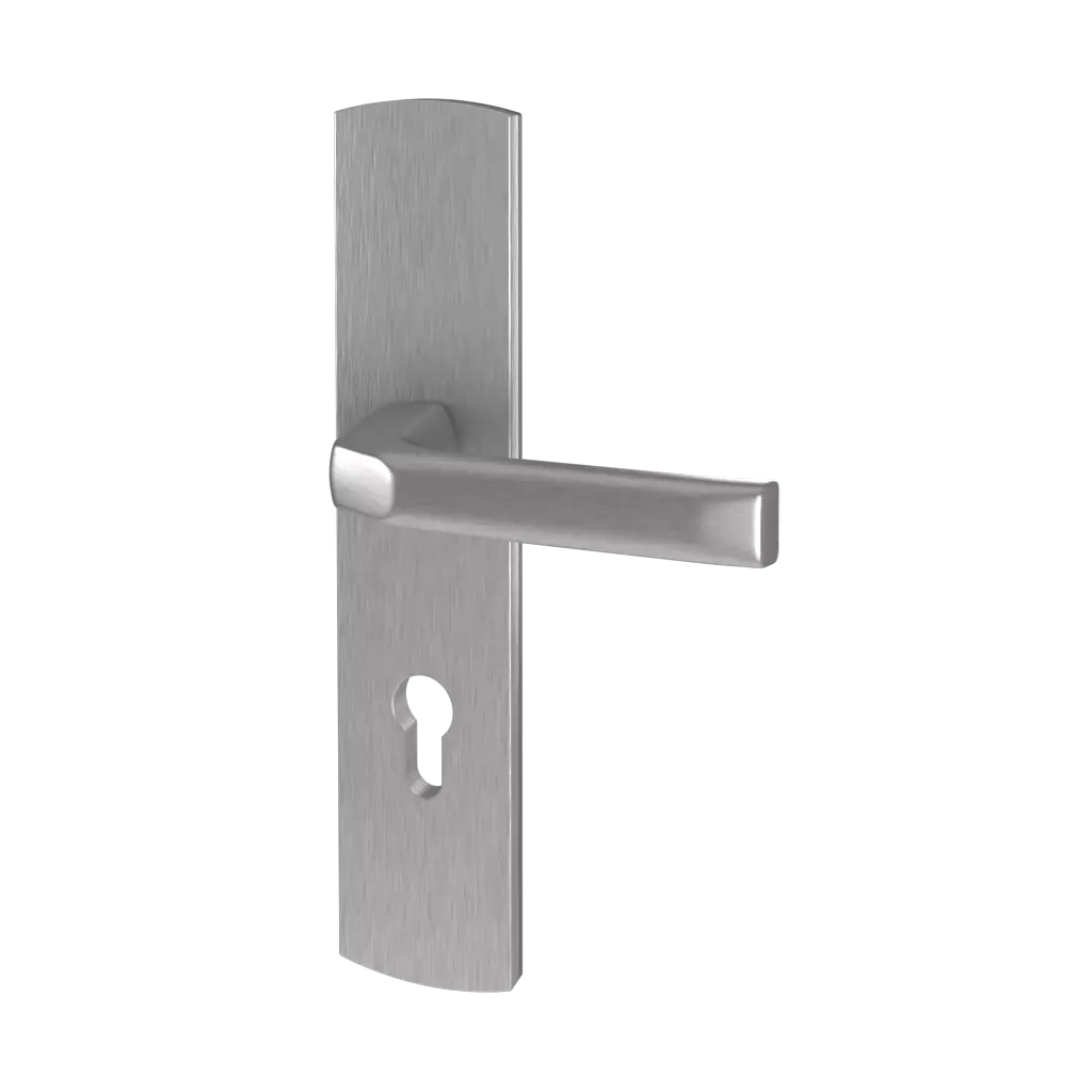 Inox portes-dentree accessoires-de-porte poignees prime interior