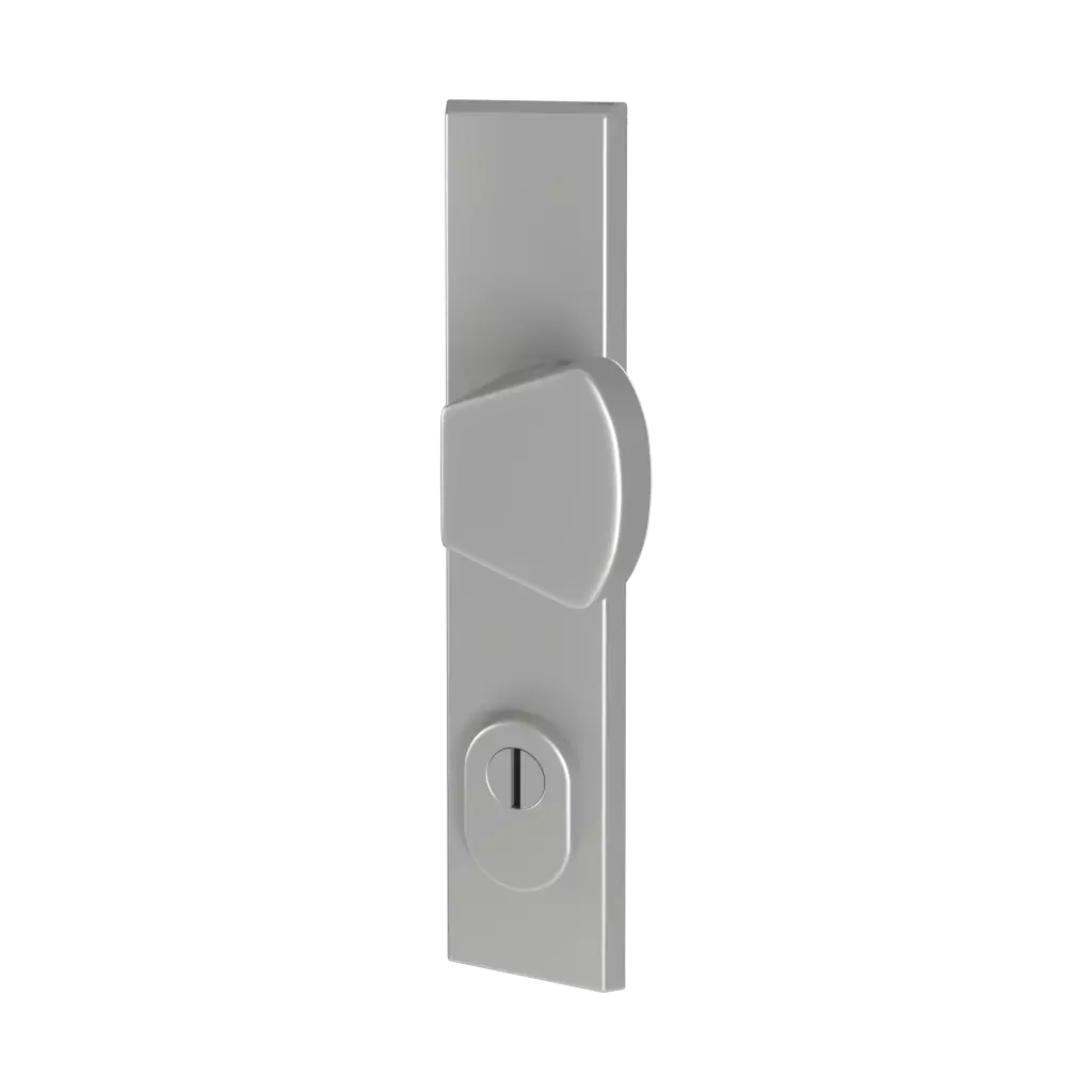 Argent F1 portes-dentree accessoires-de-porte bouton-de-fenetre odin 