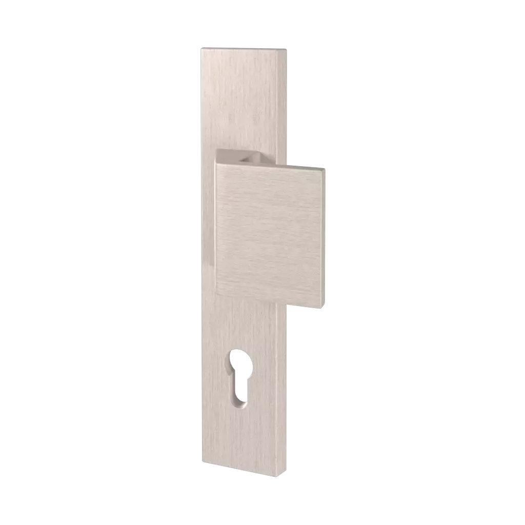 Inox portes-dentree accessoires-de-porte bouton-de-fenetre magnus interior