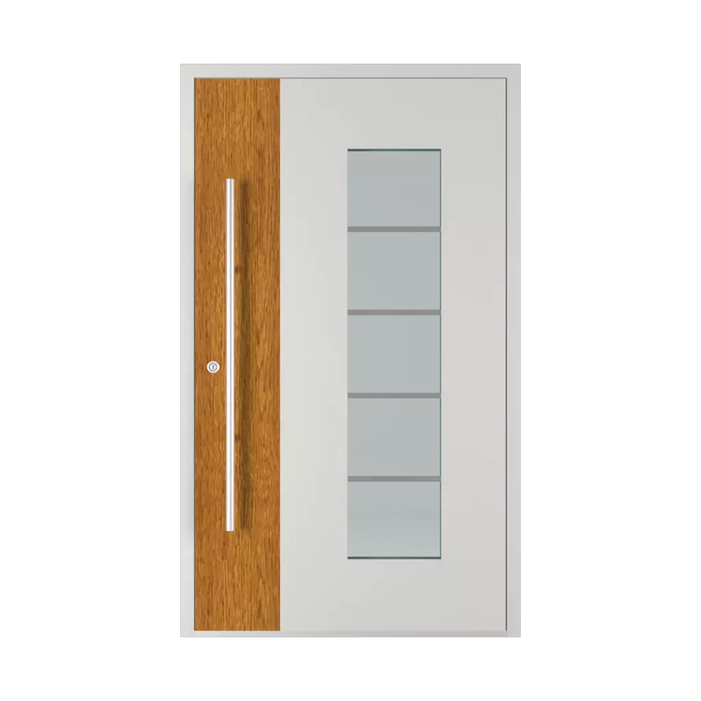 Model 6113 WD portes-dentree modeles aluminium 