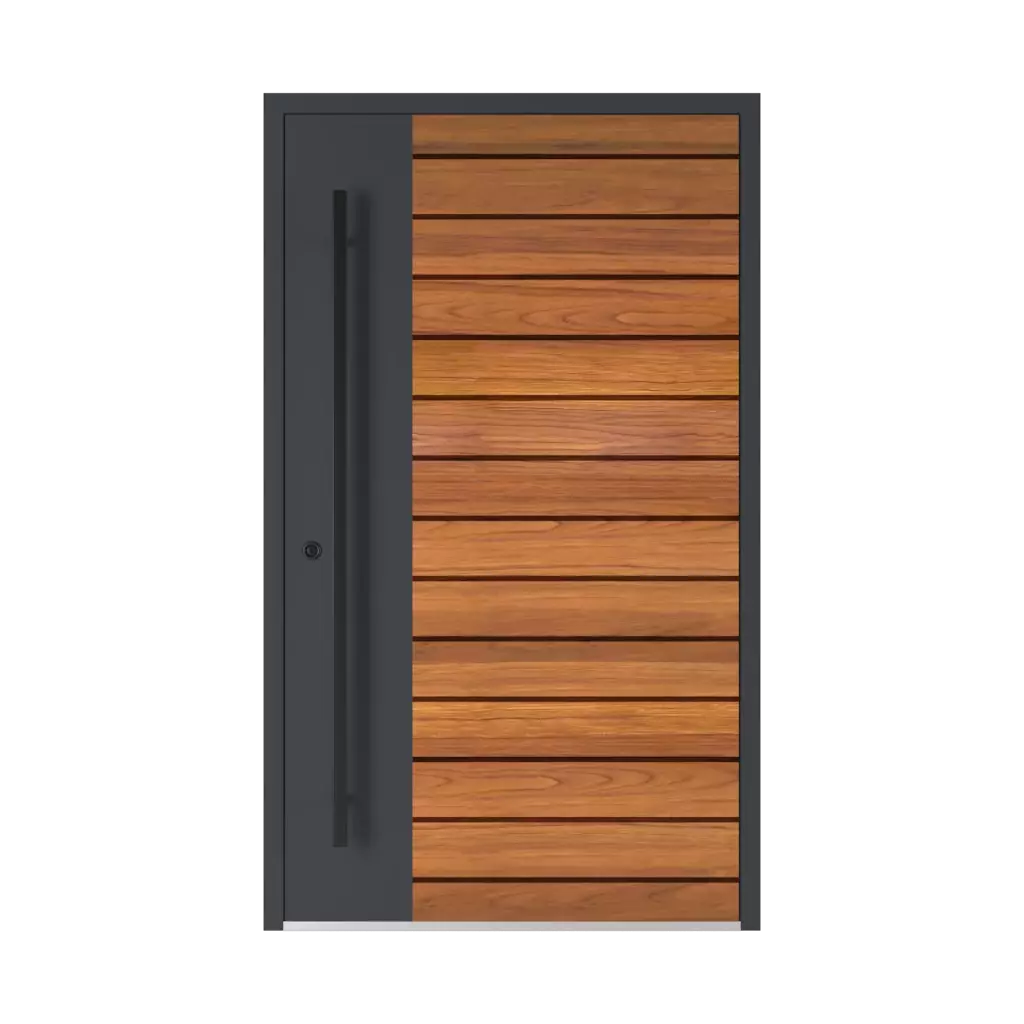 Model 6123 ✨ portes-dentree accessoires-de-porte tirer-la-poignee couleurs-des-poignees 