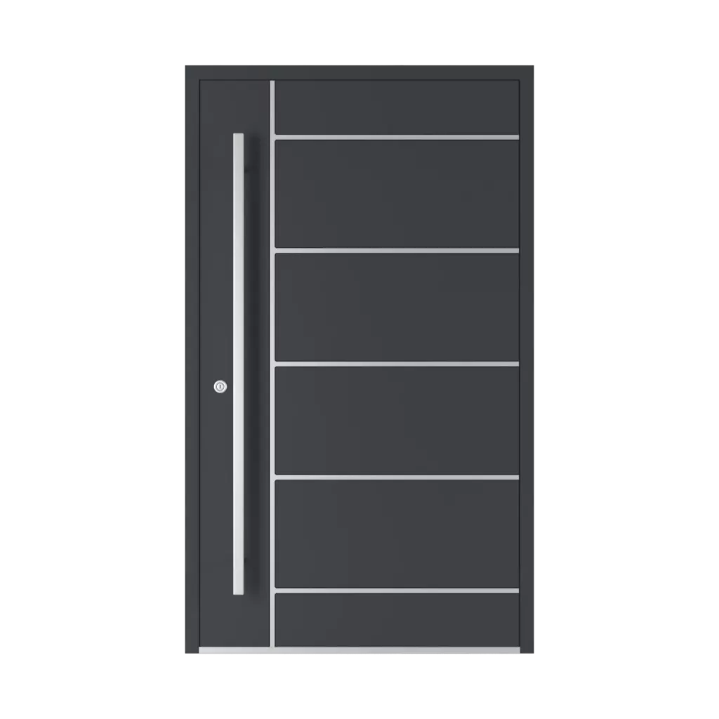 Model 2801 ST ✨ portes-dentree couleurs-des-portes couleurs-ral ral-9017-noir-signalisation 