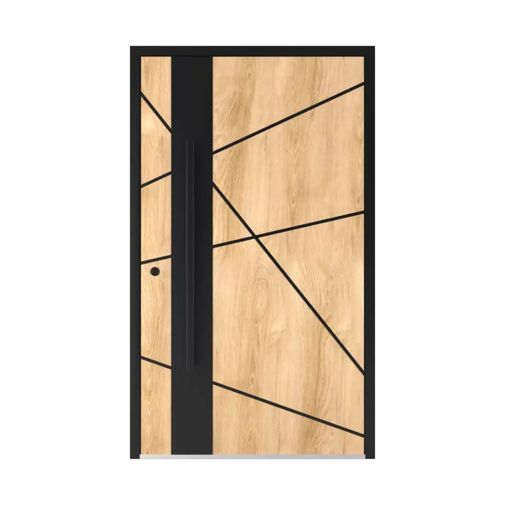 6132 Black ✨ portes-dentree accessoires-de-porte tirer-la-poignee couleurs-des-poignees 