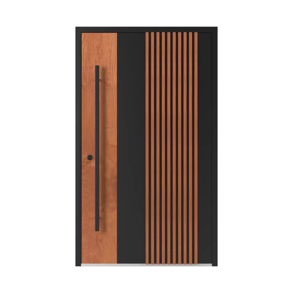LL01 🏆 portes-dentree modeles dindecor 