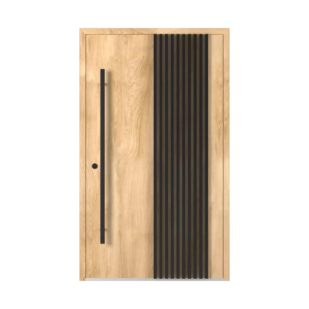 LL02 🏆 portes-dentree modeles dindecor 