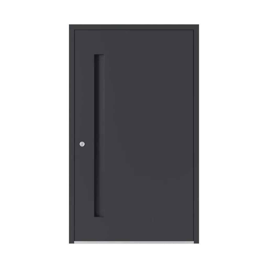 6115 PWZ ✨ portes-dentree couleurs-des-portes couleurs-ral ral-9017-noir-signalisation 
