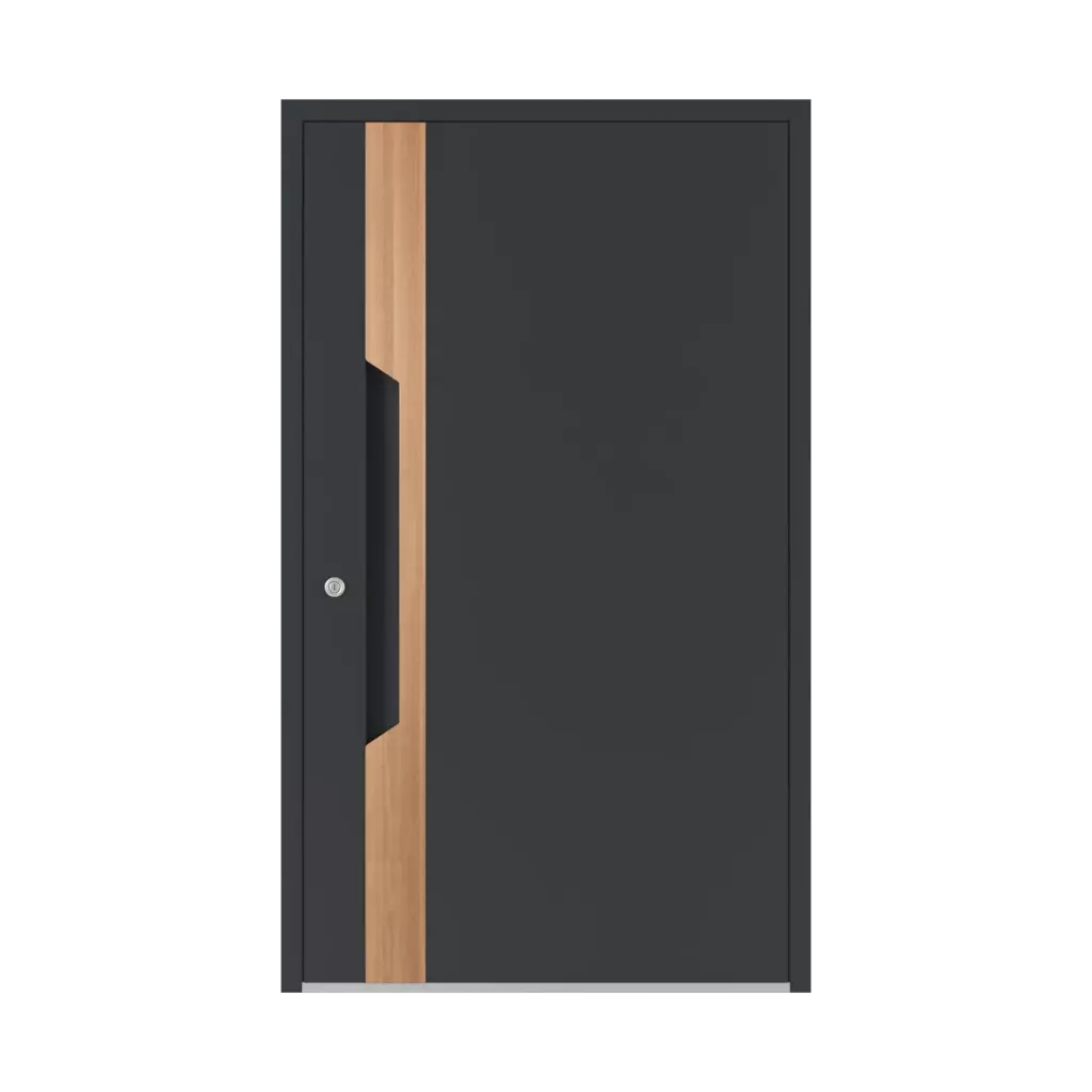 6121 PWZ ✨ portes-dentree accessoires-de-porte tirer-la-poignee couleurs-des-poignees 