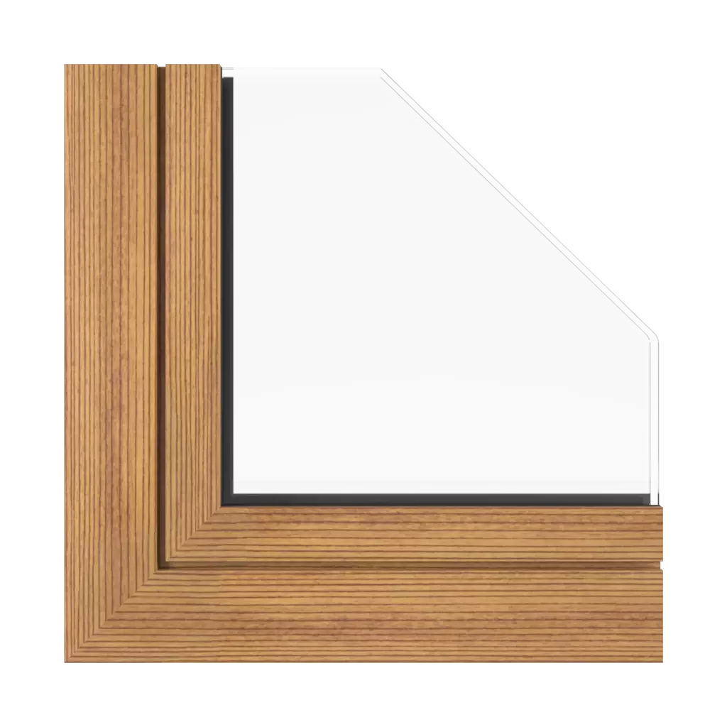 Sapin foncé fenetres profils-de-fenetre aluprof mb-sr50n-efekt