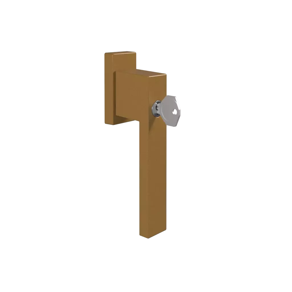 Poignée de porte avec clé Dublin or fenetres accessoires-de-fenetre poignees dublin avec-une-cle 