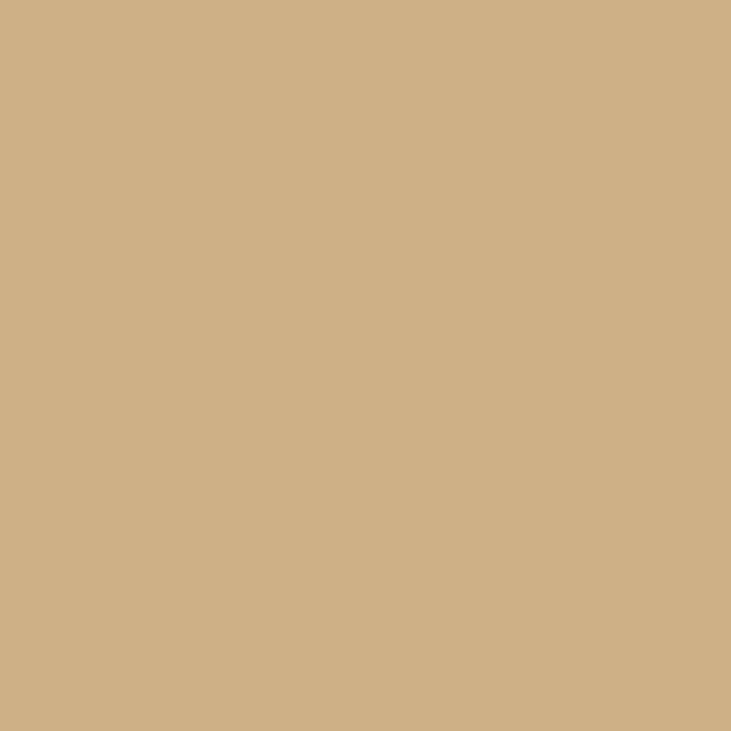 RAL 1001 Beige fenetres couleur-de-la-fenetre aluminium-ral ral-1001-beige texture