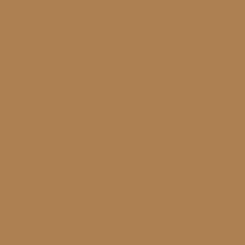 RAL 1011 Beige brun fenetres couleur-de-la-fenetre aluminium-ral ral-1011-beige-brun texture