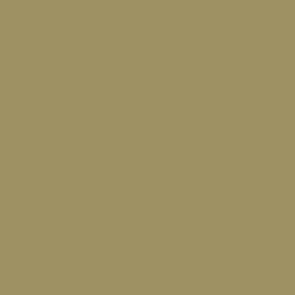 RAL 1020 Jaune olive fenetres couleur-de-la-fenetre aluminium-ral ral-1020-jaune-olive texture