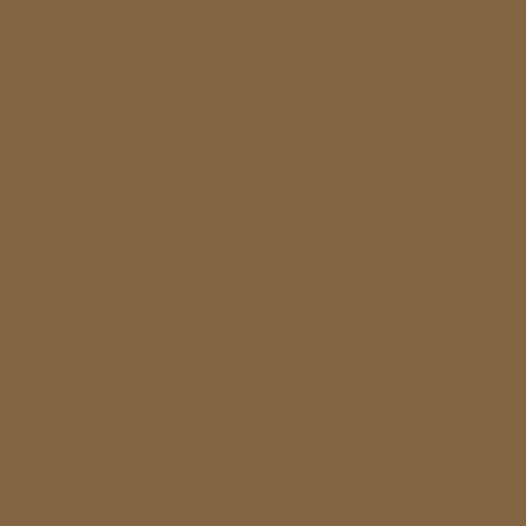 RAL 1036 Or nacré fenetres couleur-de-la-fenetre aluminium-ral ral-1036-or-nacre texture