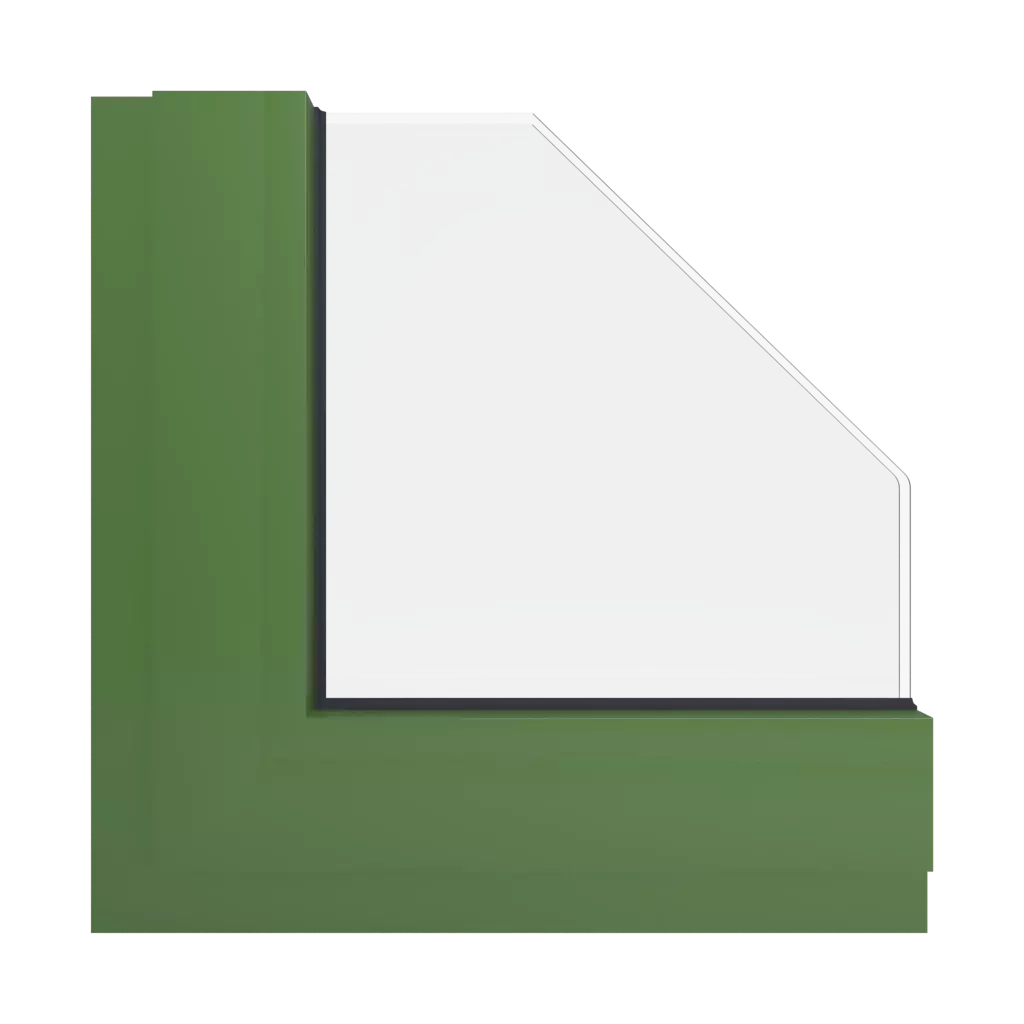 RAL 6025 Vert fougère fenetres couleur-de-la-fenetre aluminium-ral ral-6025-vert-fougere interior