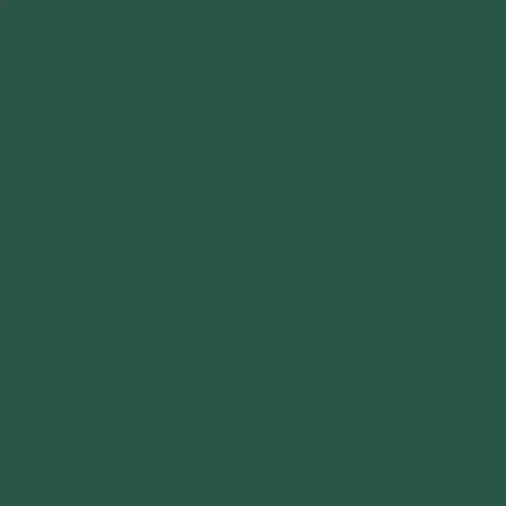 RAL 6028 Vert pin fenetres couleur-de-la-fenetre aluminium-ral ral-6028-vert-pin texture