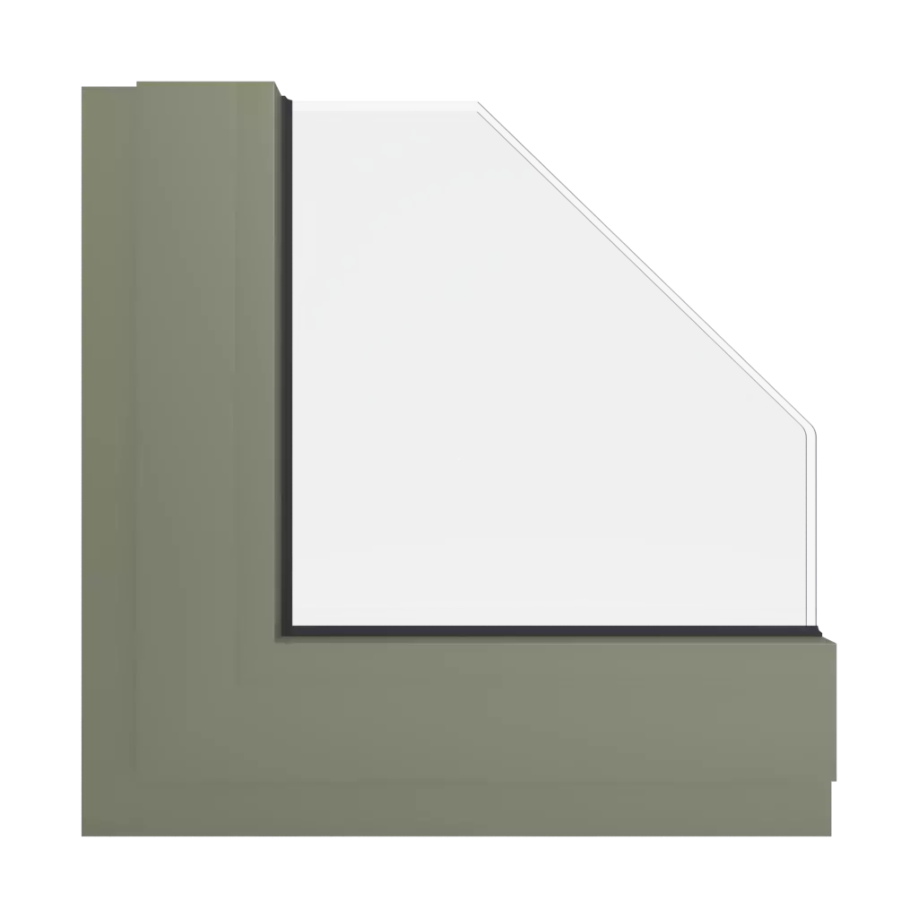 RAL 7002 Gris olive fenetres couleur-de-la-fenetre aluminium-ral ral-7002-gris-argent interior