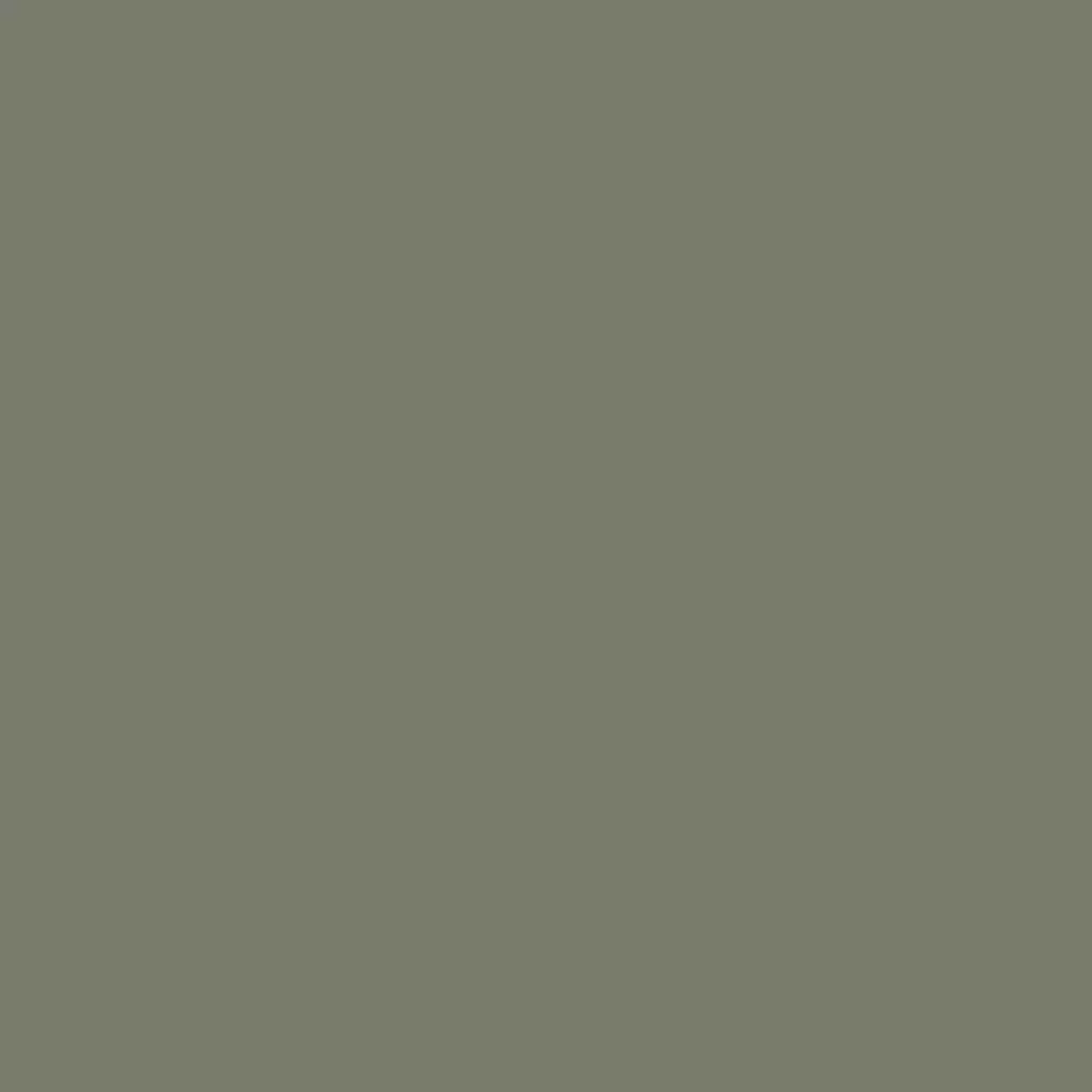 RAL 7003 Gris mousse fenetres couleur-de-la-fenetre aluminium-ral ral-7003-gris-olive texture