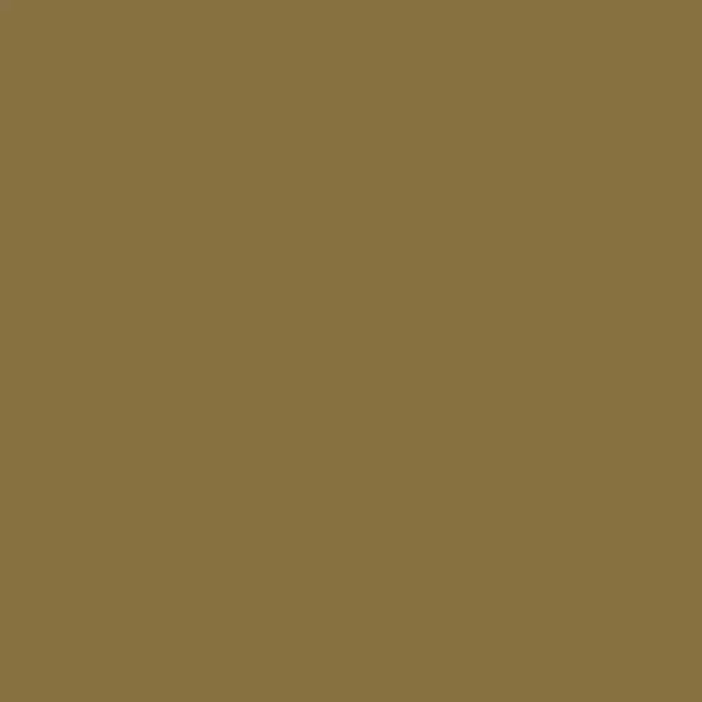 RAL 8000 Brun vert fenetres couleur-de-la-fenetre aluminium-ral ral-8000-brun-vert texture