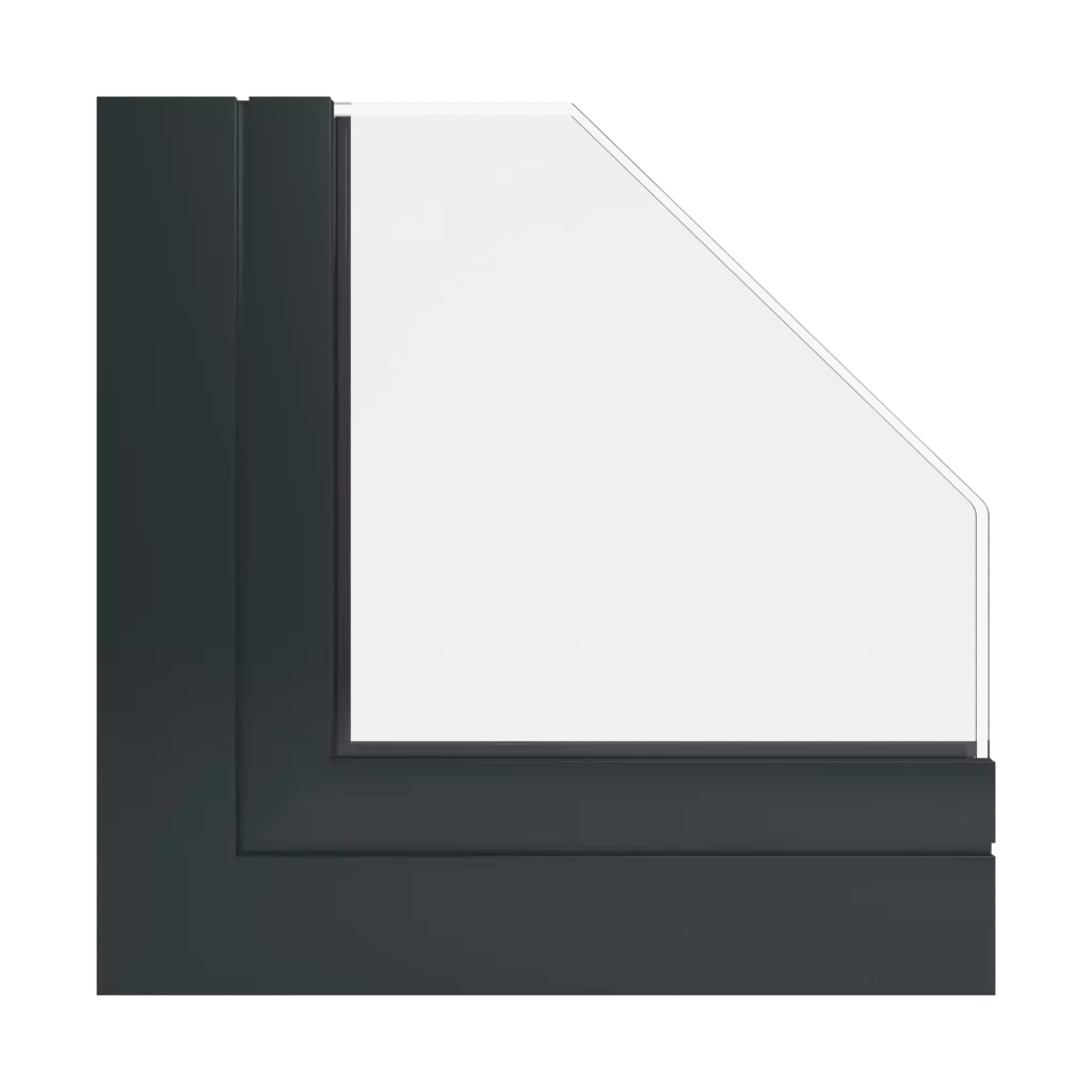 RAL 9017 Noir signalisation fenetres profils-de-fenetre aliplast panorama